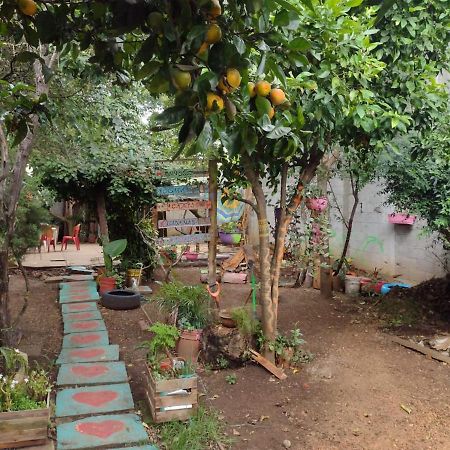 Casa Lothuz Spacio Cultural Y Disidente San Cristóbal de Las Casas Eksteriør billede